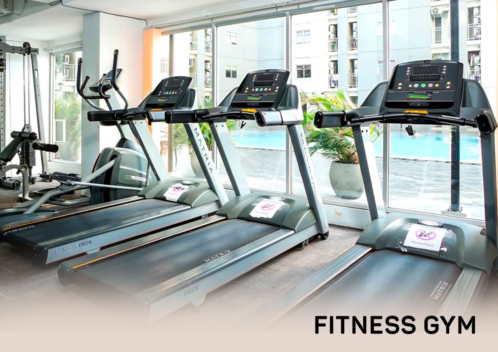 Evolve Fitness